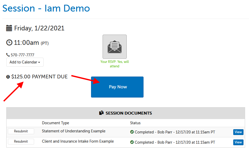 Arrow pointing at payment due amount, then Pay Now button